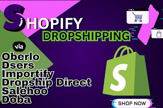 set up manage shopify dropshipping virtual assistant store optimization