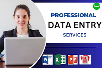 professional data entry specialist for ms office projects
