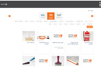 provide blazor web application development