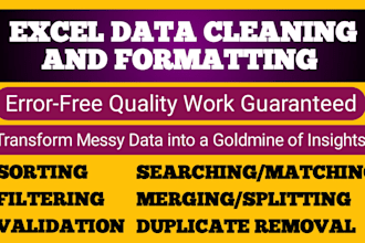 clean and format your excel data professionally