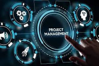 do project management assignments, reports and tasks