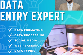do data entry, data formatting, data processing, web research
