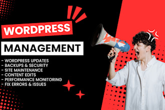 provide wordpress website maintenance and management