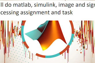 do matlab, simulink, image and signal processing assignment and task