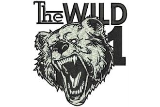 do embroidery digitizing design into dst file in 1 hour