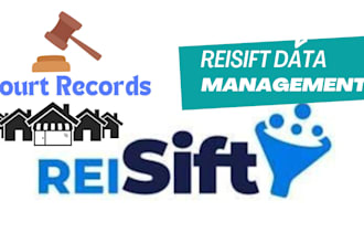 clean your data in reisift, batchleads