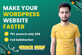 do wordpress website speed optimization, improve page speed