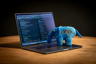 be your expert tutor for HTML, CSS, magento, and wordpress