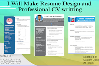 make resume design and professional CV writing