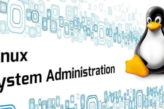 expert linux server setup, maintenance, and monitoring