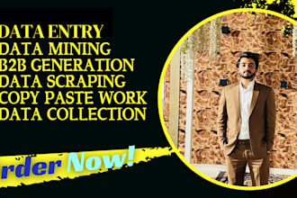 serve as excel data entry, data conversion, data mining
