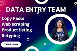 do data entry, copy paste, retyping, web scraping team work