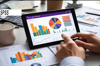 do statistical analysis projects with reports using spss, excel, python or r