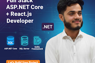 develop professional asp net core web apps