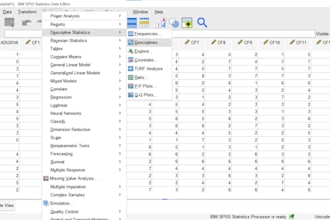 be your online tutor for spss data analysis and statistics