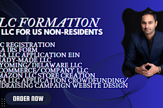 setup llc USA application crowdfunding campaign donation website deisgn