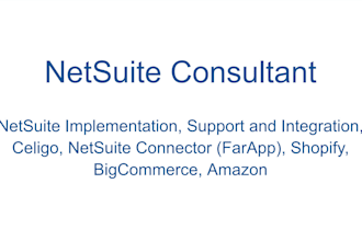 do support and implement your netsuite system