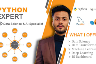 do data analytics, data analyst, power bi dashboard using power bi and excel