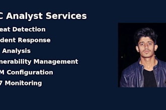 provide expert soc analyst and cybersecurity services