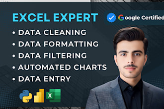 do excel data cleaning, formatting, organizing, and merging