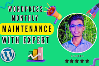 maintain your wordpress website monthly