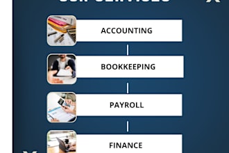 do accounting, finance, bookkeeping, payroll UK and US, audit, quickbooks, xero