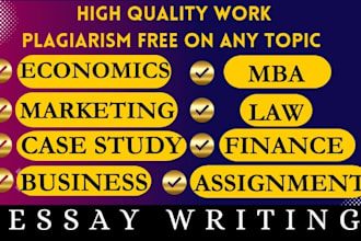 write essay in business finance management law MBA economics accounting