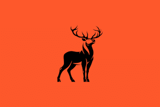 design a timeless logo and professional brand identity