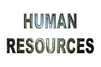 handle HR management tasks, technical writeups and projects, reports