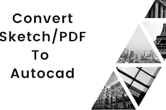 do professional PDF to cad conversion of architectural floor plans