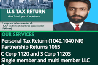 do expert US tax return preparation and filing