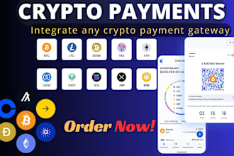 integrate crypto payment gateways into your website