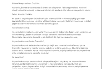 translate your articles and add subtitles to your videos