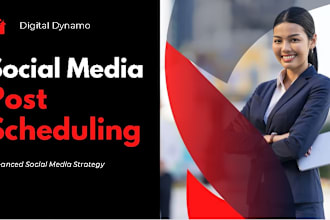 build your social media sm post schedule, scheduling and help with organization