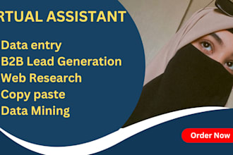do data entry, web research, excel, admin support work, email, copy paste