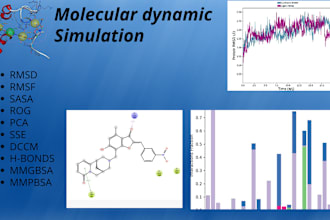 do molecular dynamic simulations of biomolecules