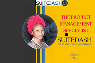 setup your suitedash automation for increased efficiency