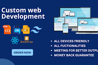 develop,duplicate,revamp website as react web developer