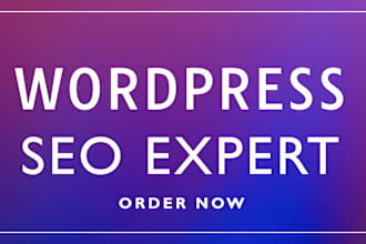 provide expert SEO audit report, competitor website analysis and video review