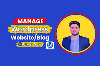 manage your wordpress website, do maintenance, upload content, optimize speed