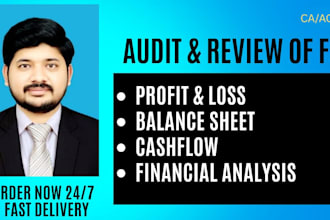audit and review the financial statements