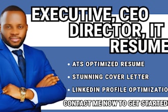 write your IT, executive, director, CEO, resume, cover letter and linkedin opt