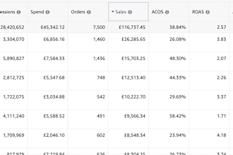 optimise your PPC campaigns and video calls weekly