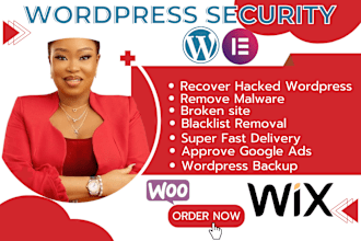 do wordpress penetration testing and security audit