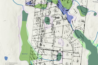 do spatial analysis, web mapping, remote sensing, cartography, gis, arcgis pro