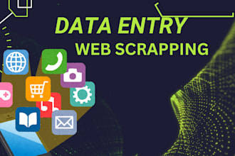 do perfect data entry, web research, data mining and data extraction