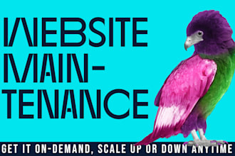 ensure expert maintenance of your wordpress site
