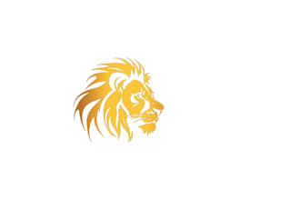 edit, design logo, and be organized with my work