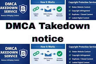 remove infringing leaked stolen content with professional dmca takedown notice