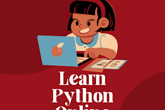 teach you python coding